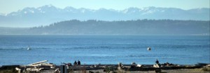 Puget sound durant le jour