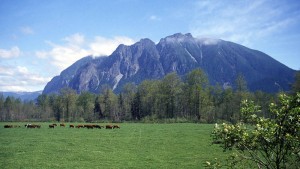 Mount Si (Photo sur Wikipedia car j'ai pas eu une vue aussi claire)