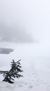 Lake 22 - The lake is frozen